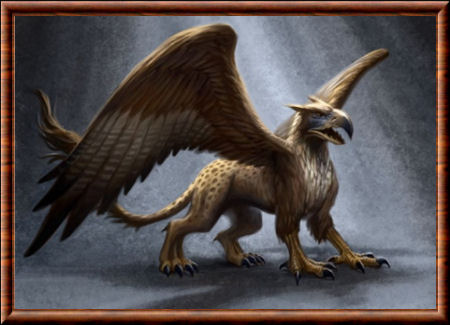 Griffon