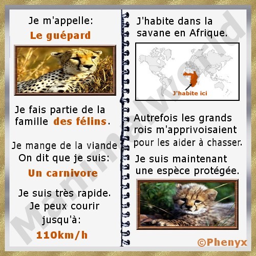 Guepard fiche pour enfants