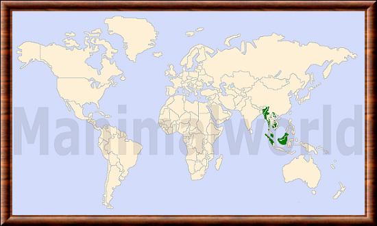 Helarctos malayanus distribution