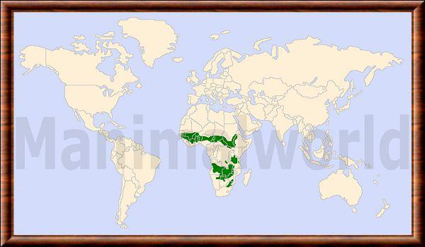 Hippotragus equinus repartition