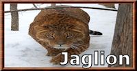 Jaglion