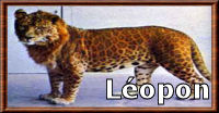 Léopon