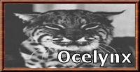 Ocelynx