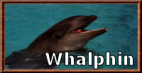 Whalphin