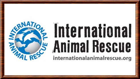 International Animal Rescue (IAR)