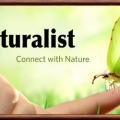 Inaturalist