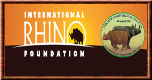 International rhino foundation