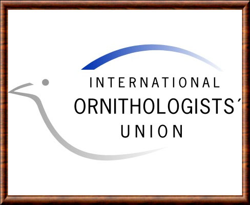 International Orinthologists Union