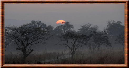 Jim Corbett paysage