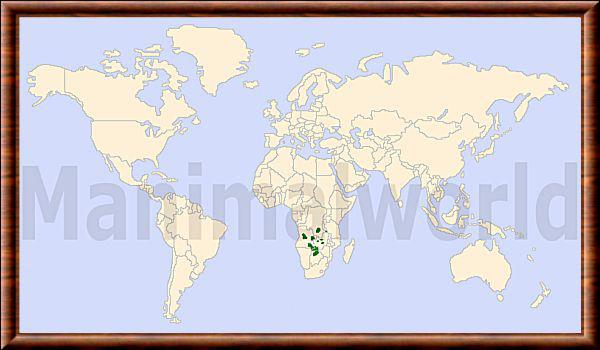 Kobus leche repartition