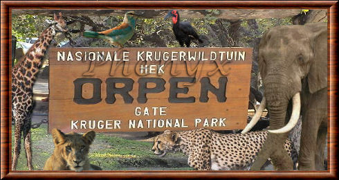 Parc national Kruger