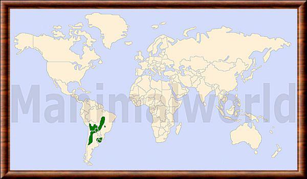 Leopardus braccatus repartition