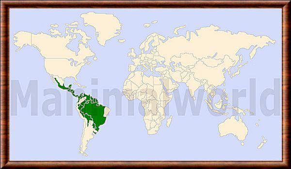 Leopardus wiedii repartition