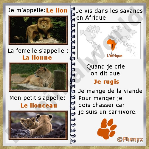 Lion fiche pour enfants