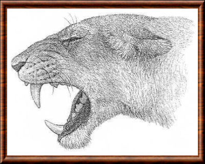 Lion des cavernes