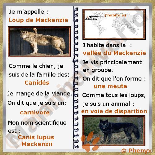 Loup de Mackenzie fiche pour enfants