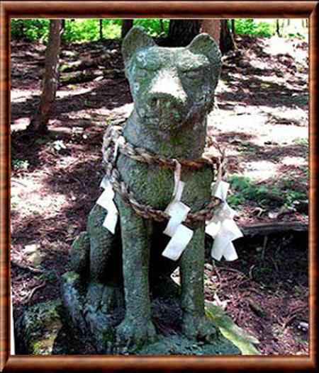 Loup du Japon (Okami)