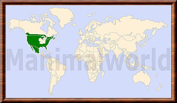 Lynx rufus repartition