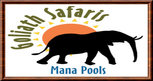 Mana Pools