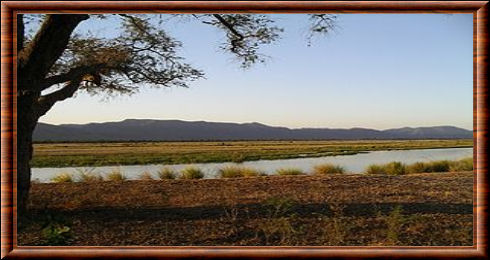 Mana Pools paysage