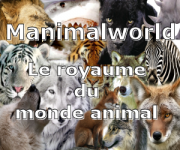 manimalworld-300-250.png