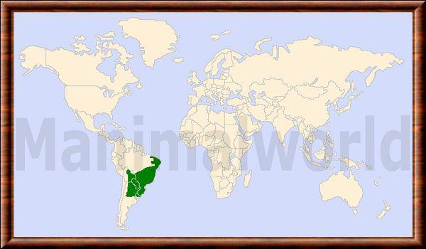 Mazama gouazoubira carte repartition