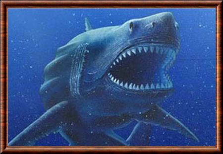 Mégalodon (Carcharodon megalodon)