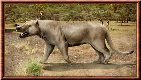 Megistotherium osteothlastes