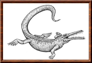 Mesosaure