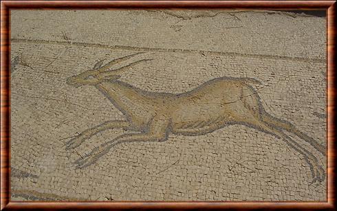 Mosaïque d'une gazelle Ceasarea israel.jpg