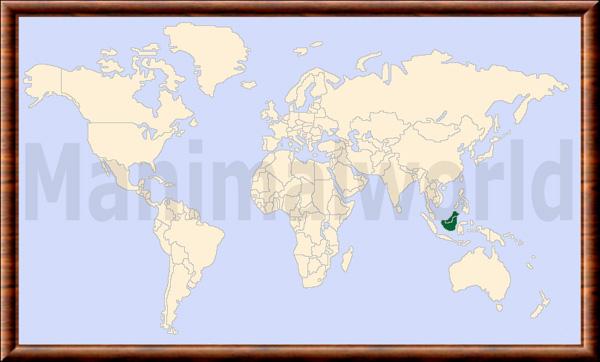 Muntiacus atherodes carte de repartition