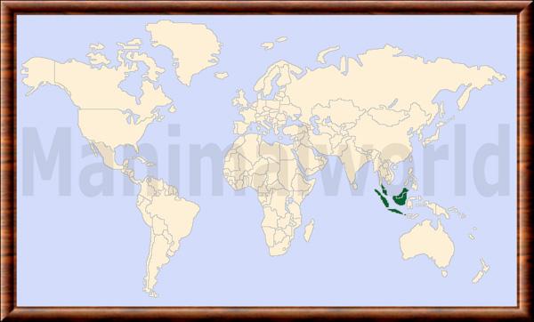 Muntiacus muntjak carte repartition