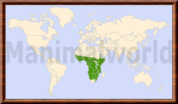 Musophagidae distribution