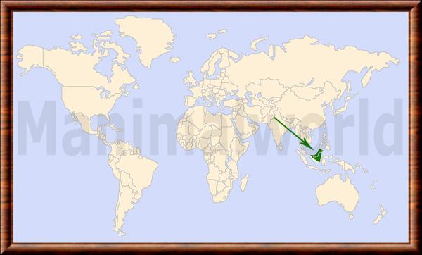 Neofelis diardi borneensis repartition