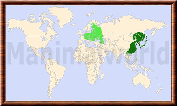 Carte de répartition du chien viverrin Nyctereutes procyonoides distribution