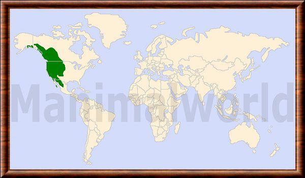 Odocoileus hemionus carte repartition