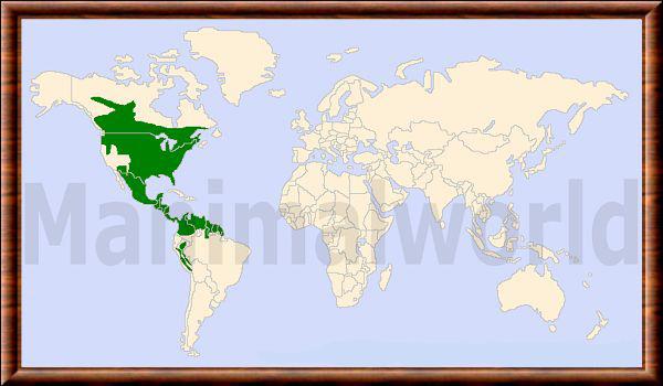 Odocoileus virginianus carte repartition