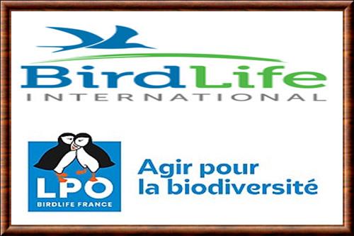 BirdLife international et LPO sont deux ONG de protection des oiseaux