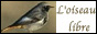 annuaire oiseaux libre du net