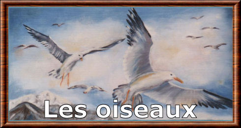 Oiseaux