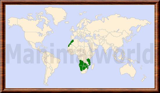 Otocyon repartition.jpg