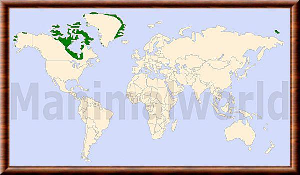 Ovibos moschatus repartition