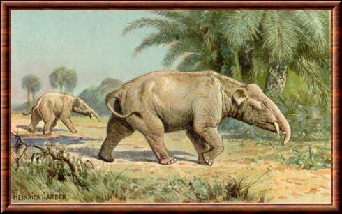 Paleomastodonte