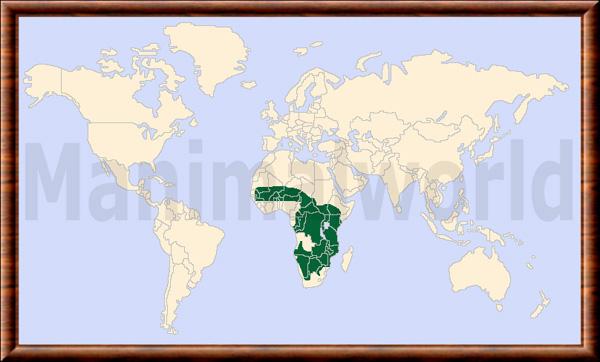 Panthera leo leo repartition