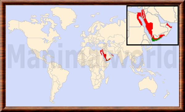 Panthera pardus nimr repartition