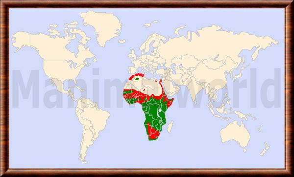 Panthera pardus pardus carte repartition