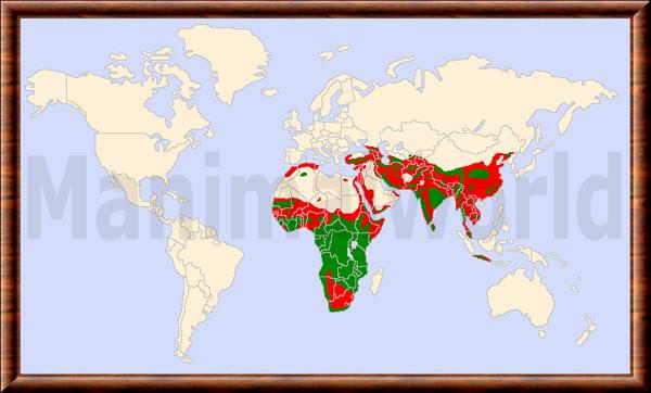 Panthera pardus repartition