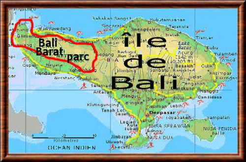 Panthera tigris balica repartition