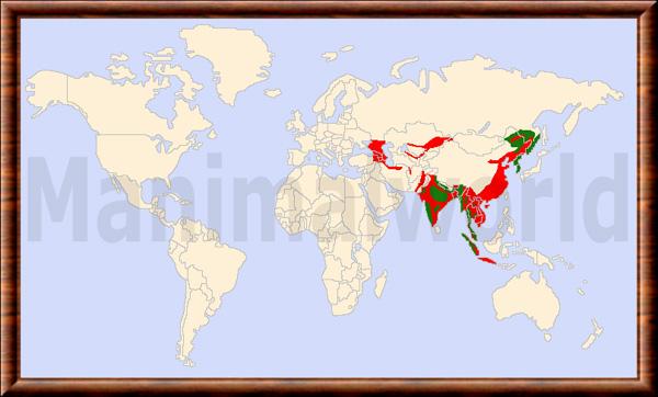 Panthera tigris repartition