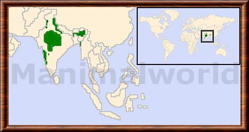 Panthera tigris tigris repartition